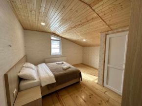 holiday bakuriani villa with 5 bedrooms Bakuriani